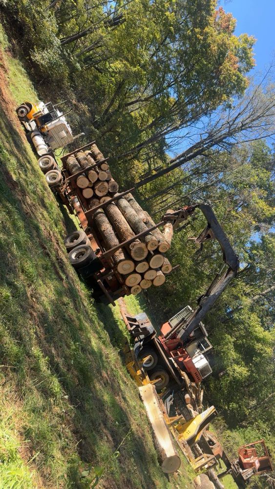 All Photos for Williamson Logging in Hardy, VA