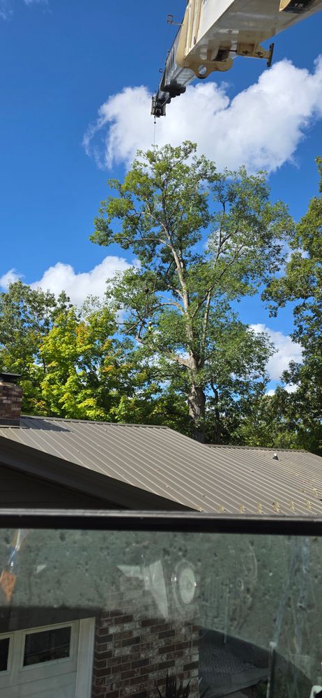 All Photos for Advanced Tree Solutions in Rockville, IN