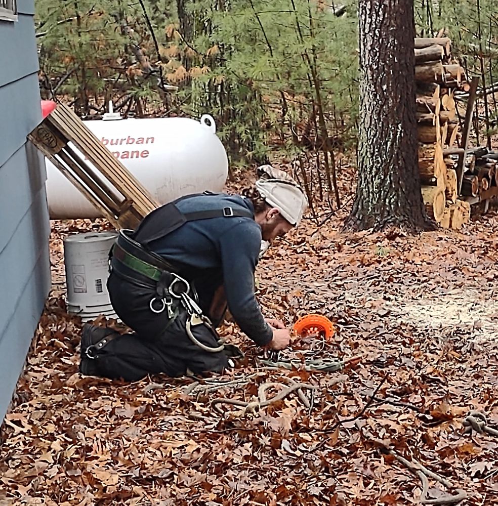 Tree Removal for A.M. Forestry LLC in Nekoosa, WI