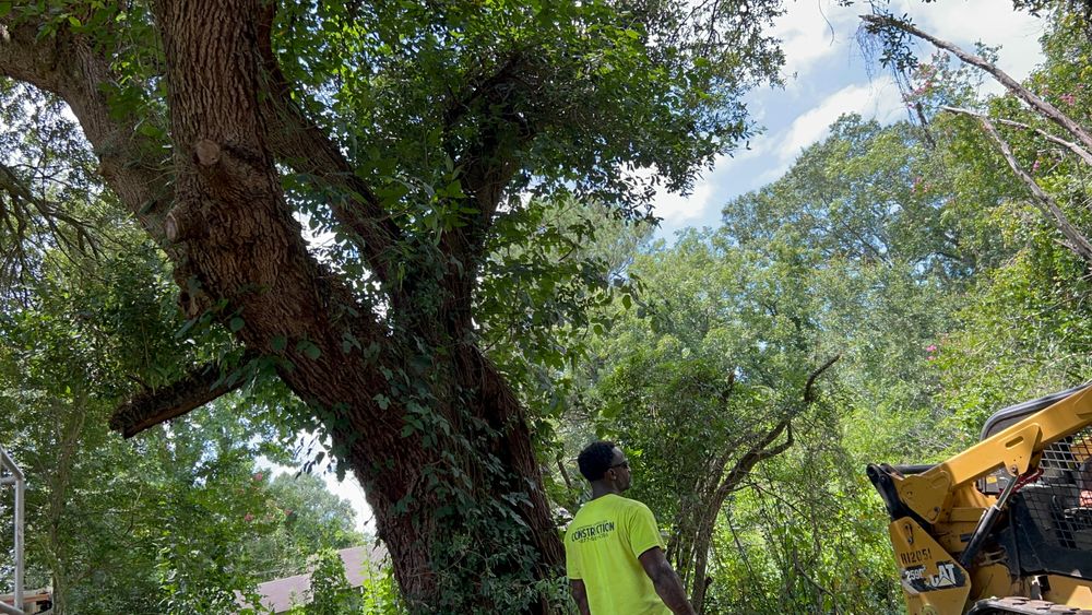 Tree Removal for Broadway & McMullen Construction in Hattiesburg, MS