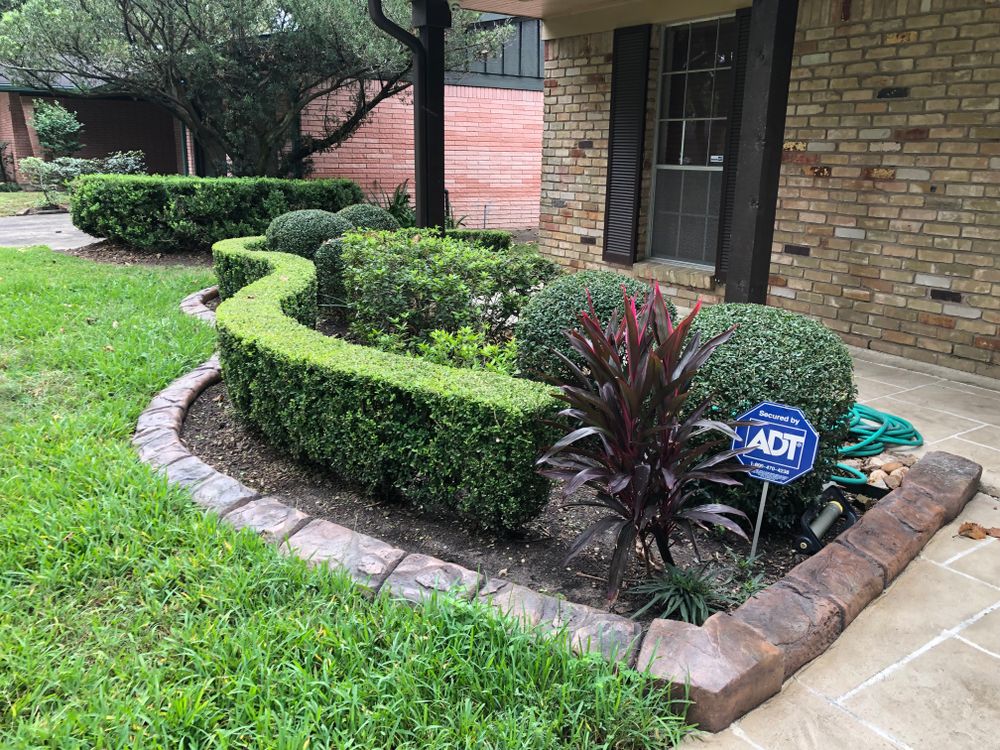 All Photos for Texas Curb N Borders in Houston, TX