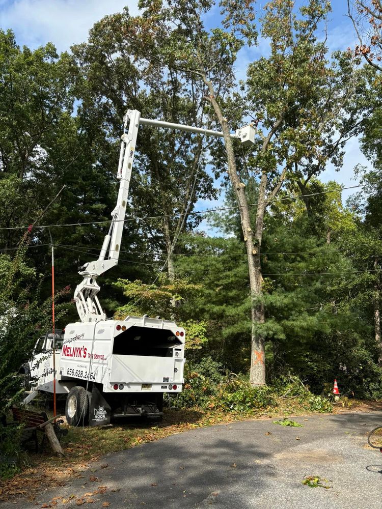 All Photos for Melnyk’s Tree Service in Salem County, NJ
