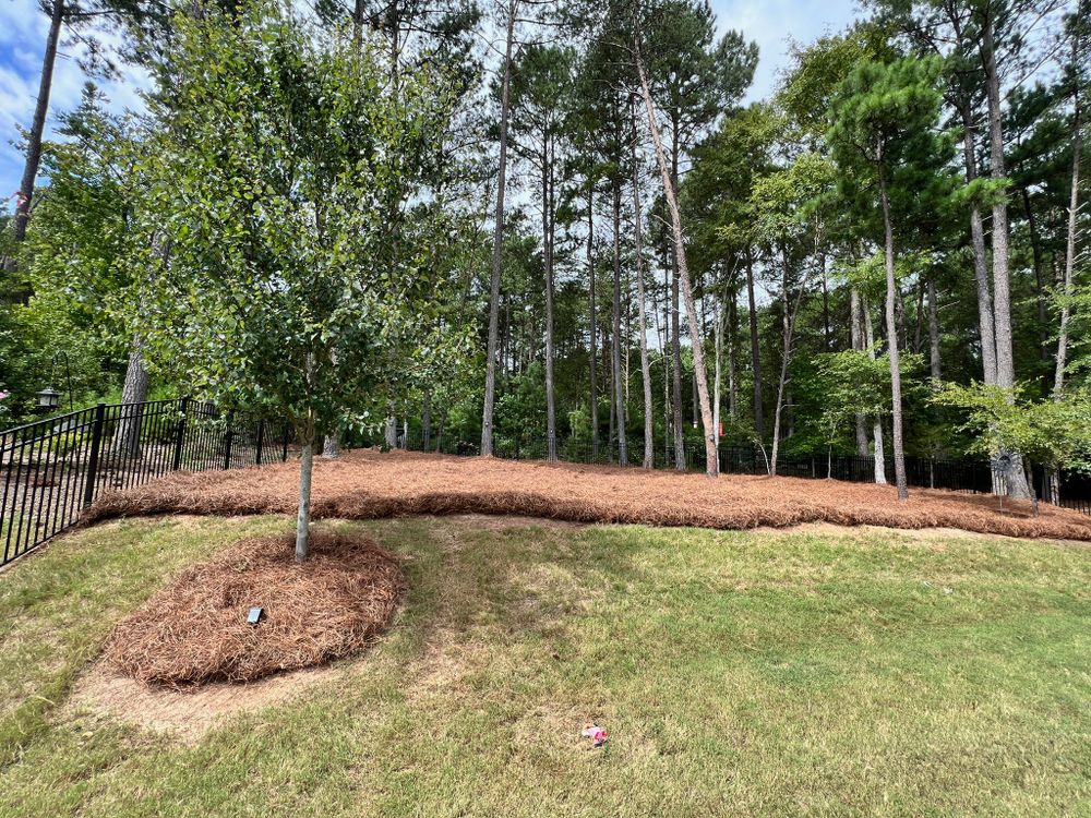 All Photos for Massey Landscaping in Gastonia, NC