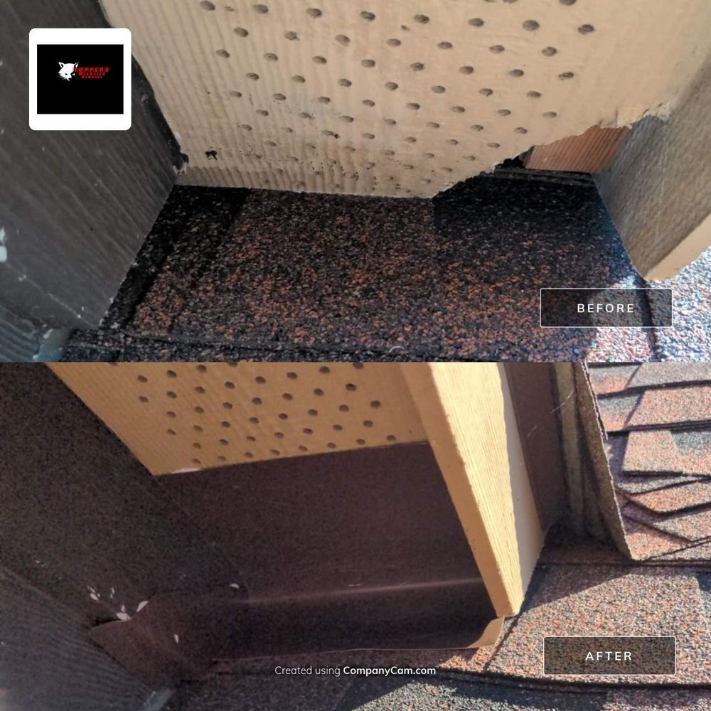 All Photos for Topper's Wildlife Removal in Garland, TX