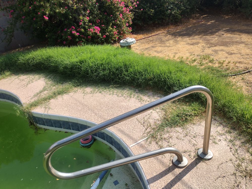 All Photos for Smooth Lawn Service in Mesa, AZ