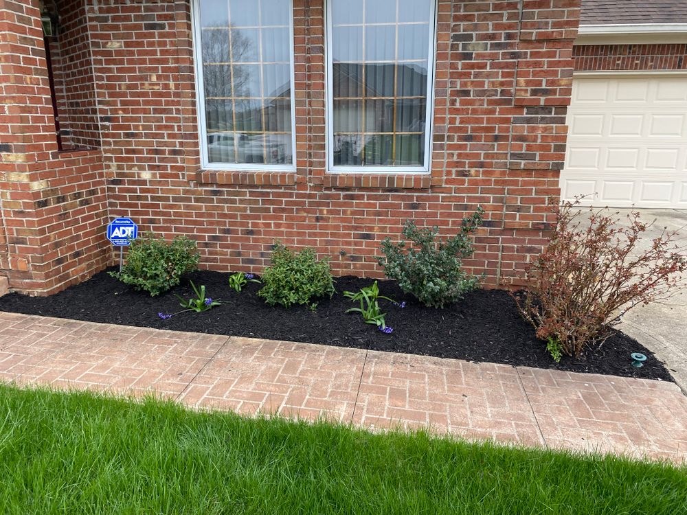 All Photos for Bearforce Lawn Care LLC in Greenfield, IN