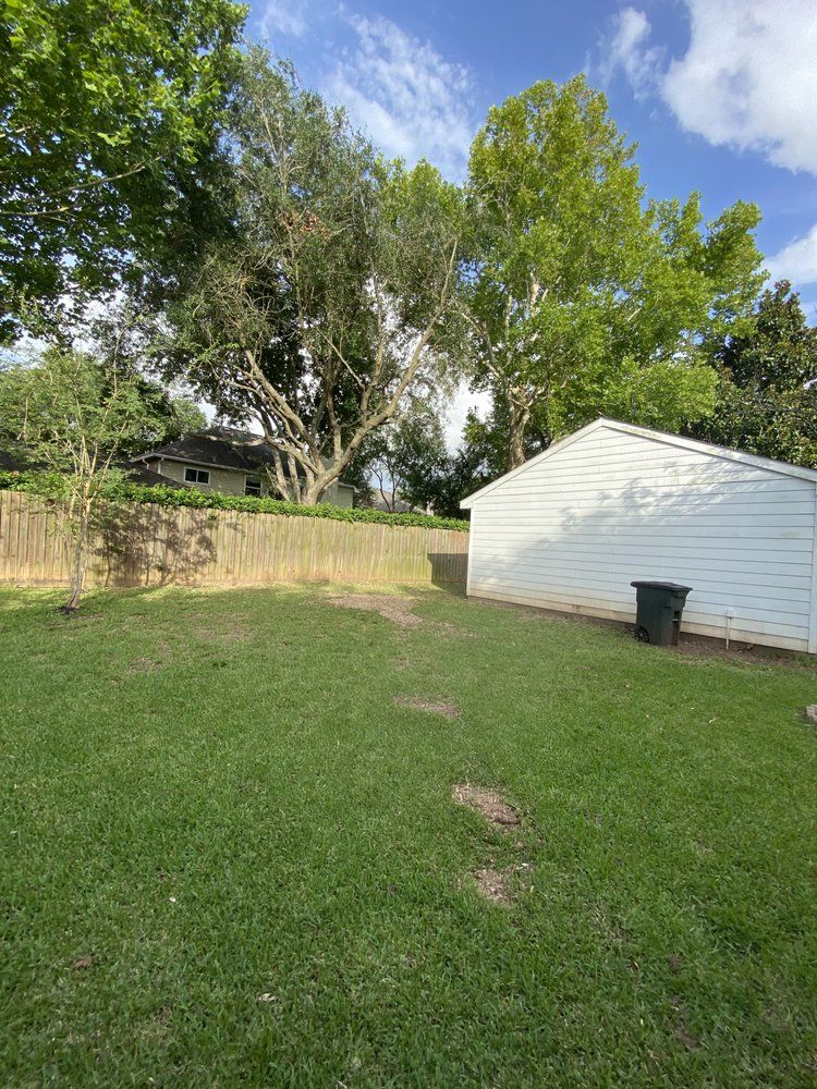 Tree Services for Greenfield Tree Services in Manvel, TX