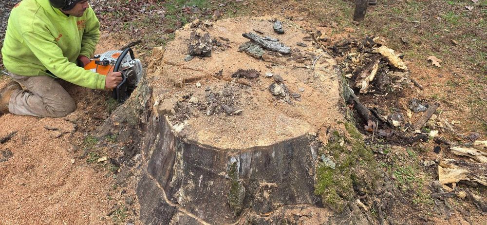 Stump Grinding for Hamlett Tree Service LLC in Clover, VA