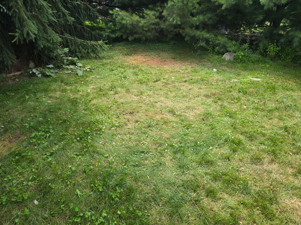 All Photos for Newton's Junk Removal Services in Saline, MI