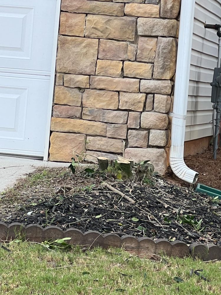 All Photos for Williams Brothers Landscaping & Construction in Atlanta, GA