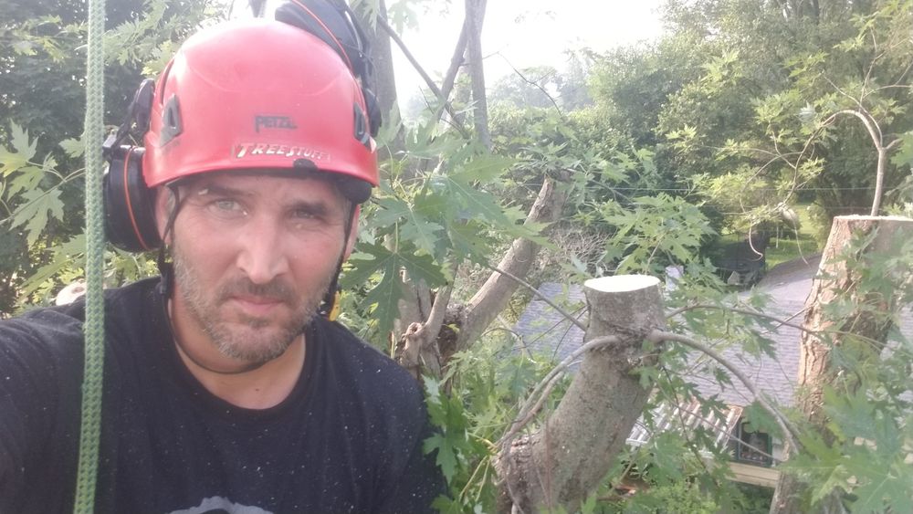 All Photos for Advanced Tree Solutions in Rockville, IN