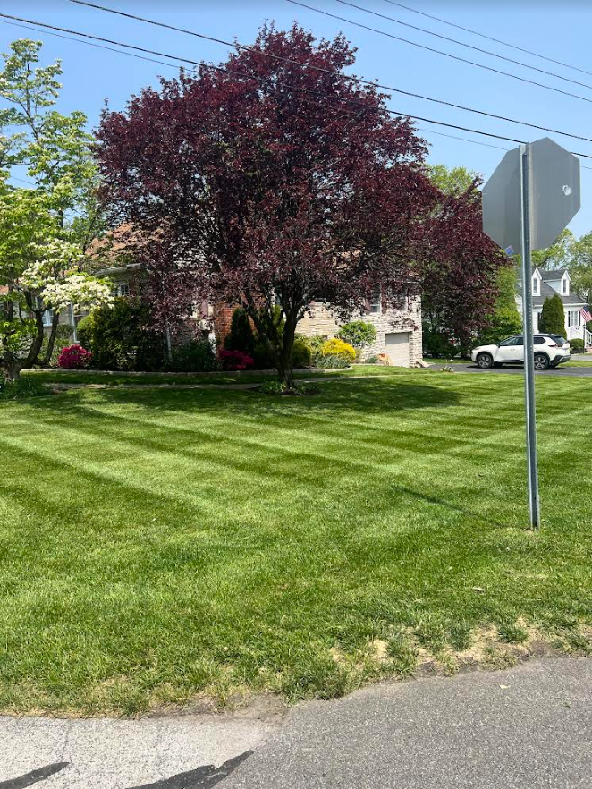 Lawn Care for Morning Dew Landscaping and Irrigation Services in  Marlboro, NY