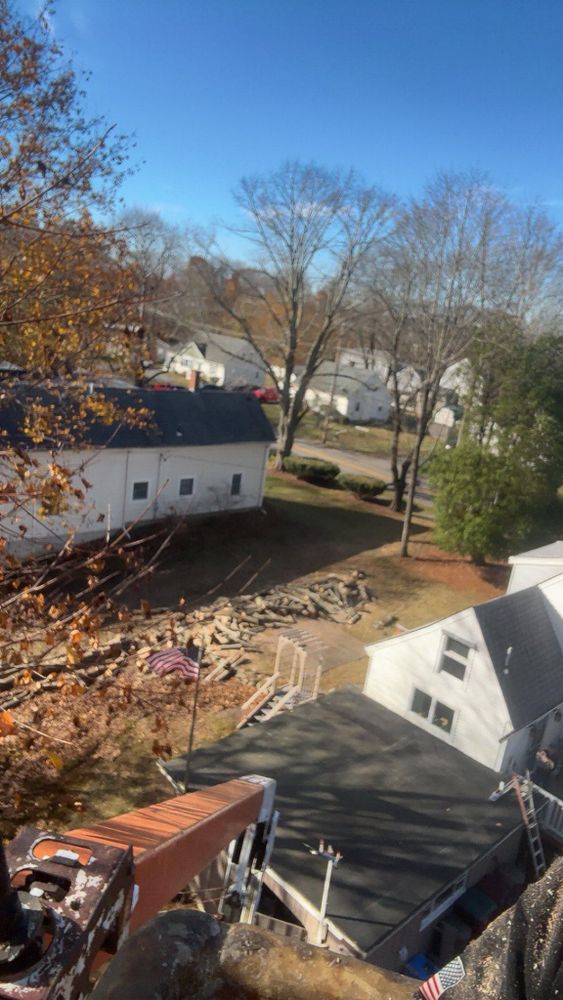 All Photos for Dwights Tree Service in Middleborough, MA