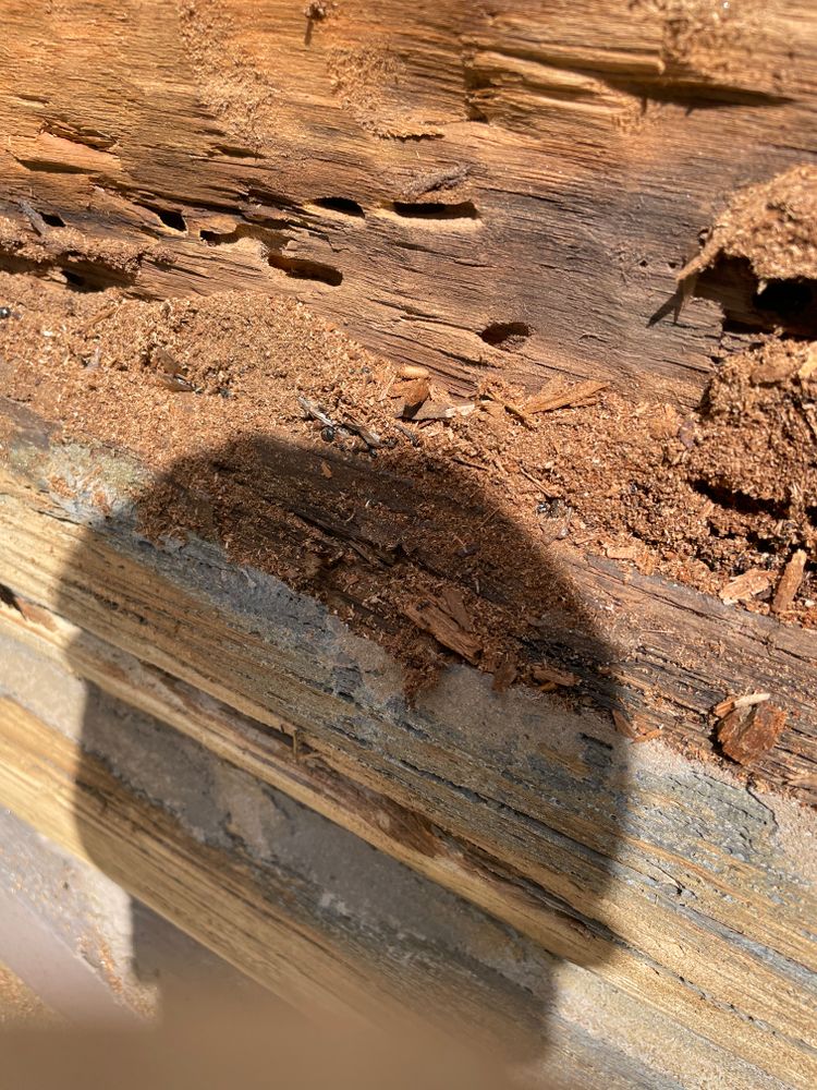 All Photos for Master Log Home Restoration in Pittsburgh, PA