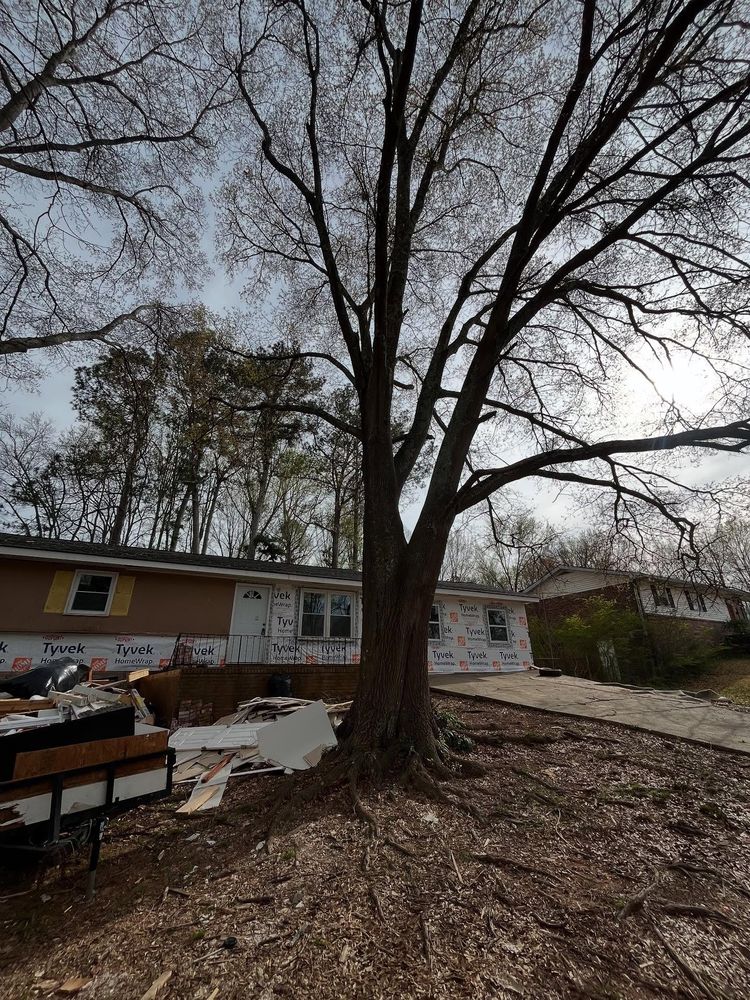 Tree Removal for J&M Stump Grinders LLC in Douglasville, GA
