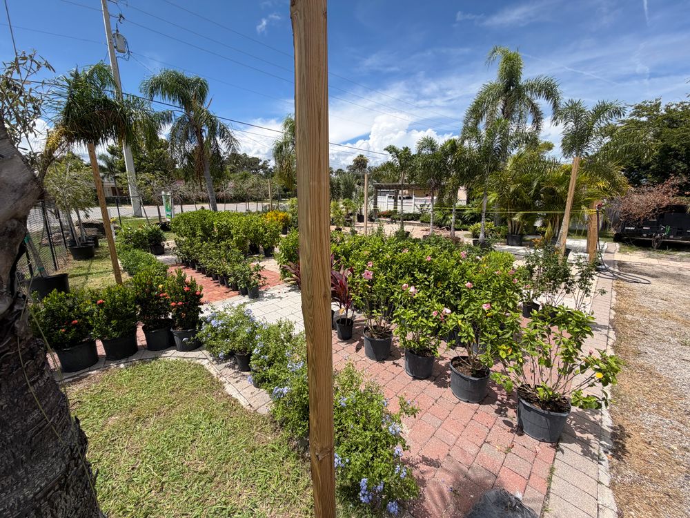 All Photos for Vanic's Landscaping in Port Orange, FL