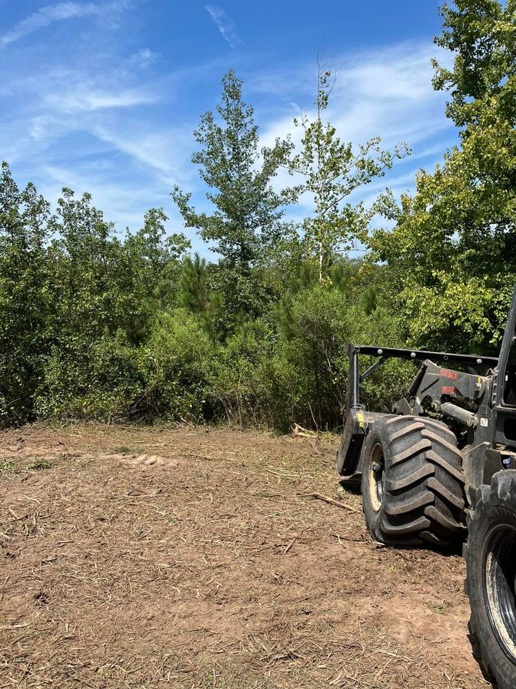 Land Clearing for Bass Land Management in Yellville, AR