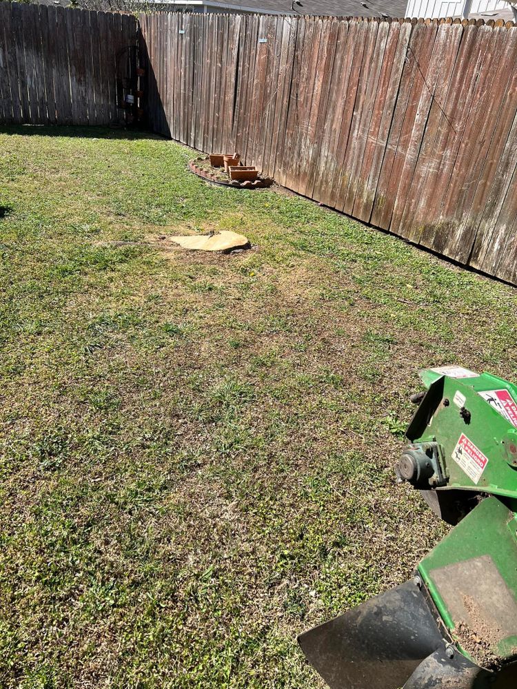 All Photos for Camerons Stump Grinding & Tree Services in Austin, TX