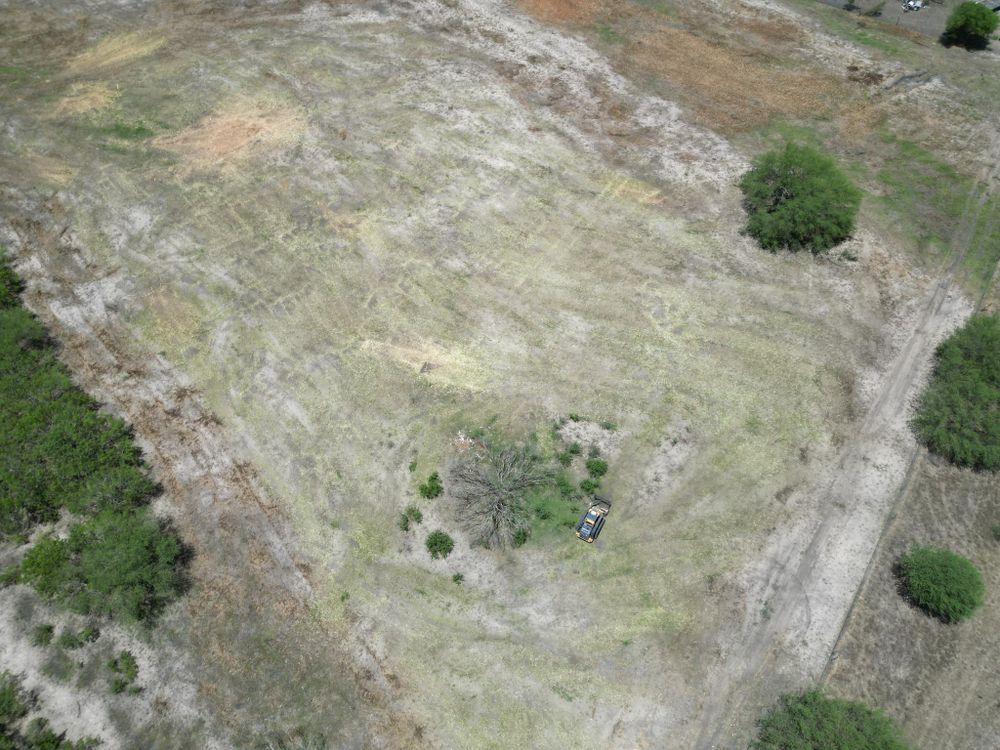 All Photos for Hernandez Land Clearing Services in Alice, TX