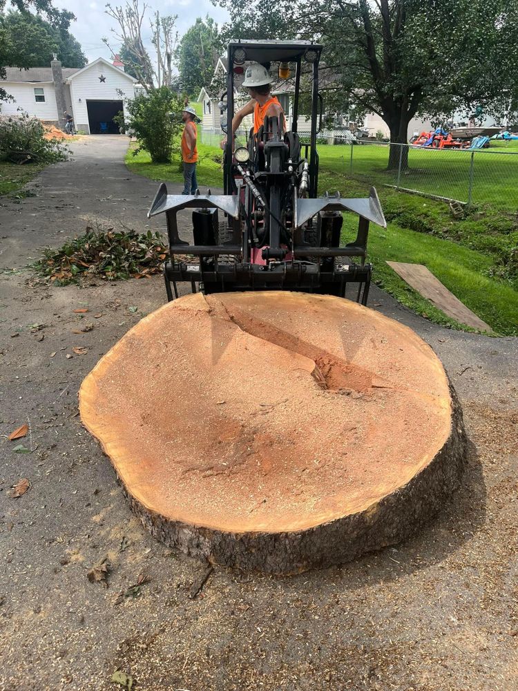 All Photos for Curtis Tree Service LLC in Hopkins County, KY