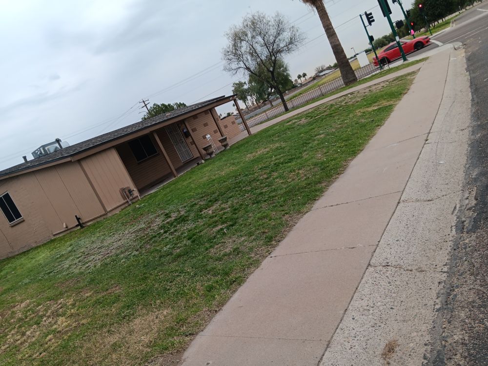 All Photos for Family Landscaping in Phoenix, AZ