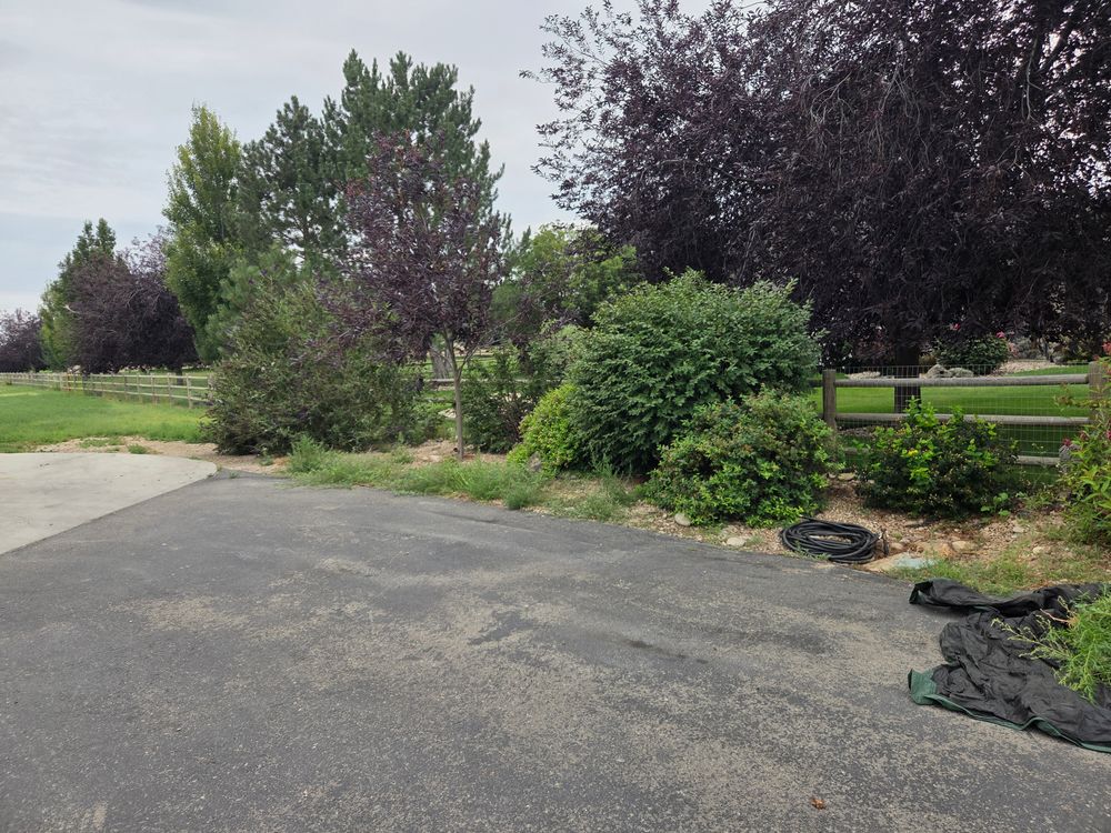 All Photos for Silvercut Lawncare in Star, ID