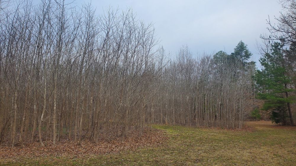 All Photos for Simmons land works in Sardis,, TN
