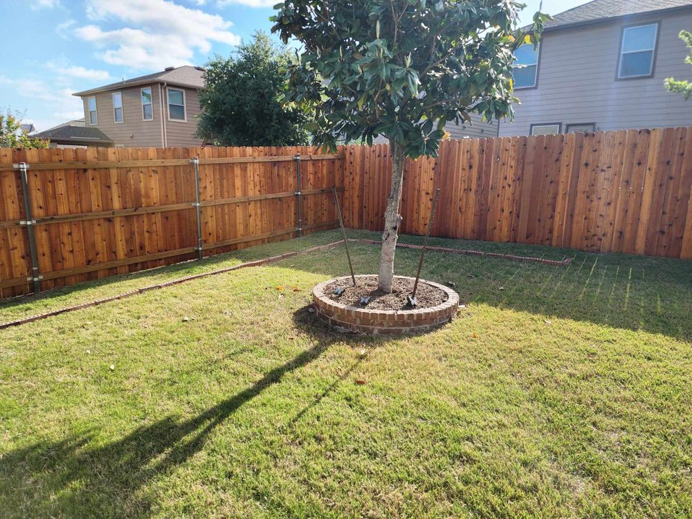 All Photos for Fresh Yards Landscaping in Austin, Texas