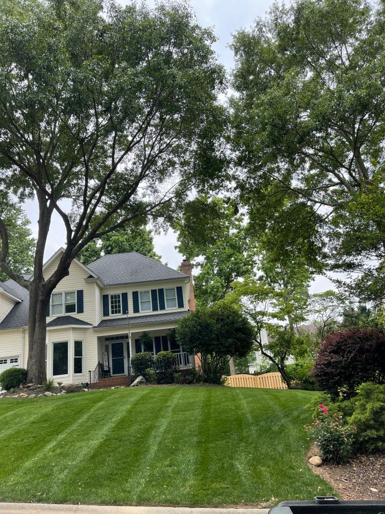 Lawn Transformations for Sunrise Lawn Care & Weed Control LLC in Simpsonville, SC