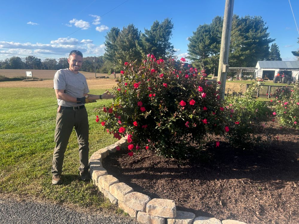 All Photos for The Whole 9 Yards Landscape VA in Heathsville, VA