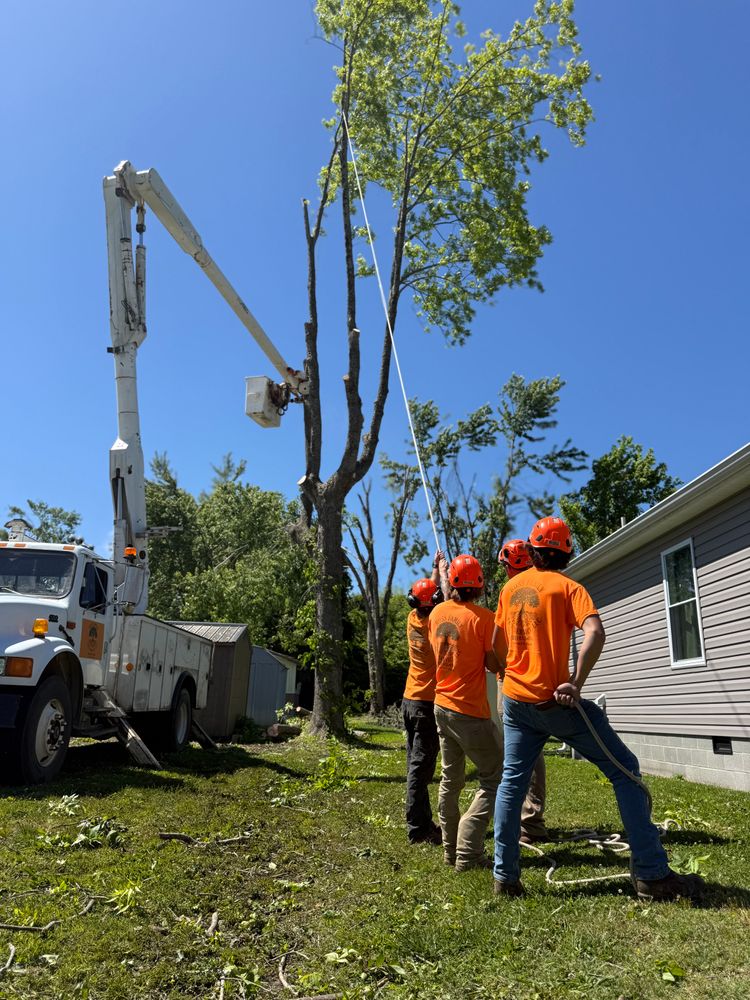 All Photos for Ross Family Tree Service LLC  in Hohenwald, TN