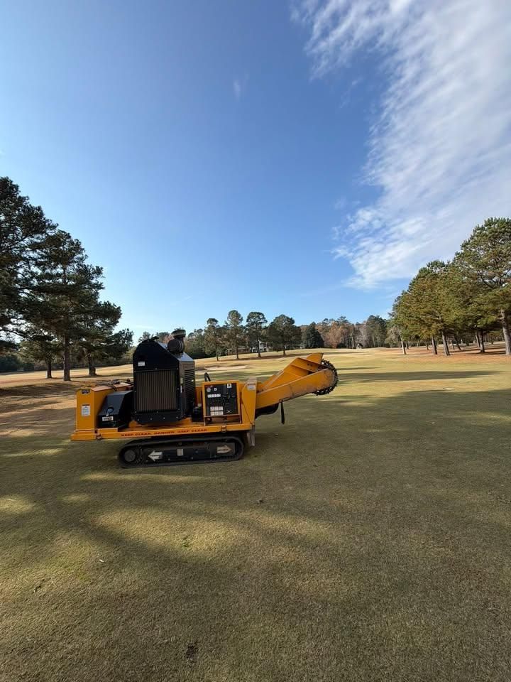 All Photos for Dozier Stump Grinding in Augusta, GA