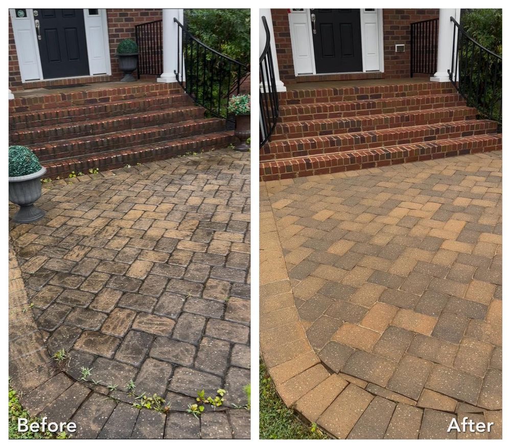 All Photos for LeafTide Solutions in Richmond, VA