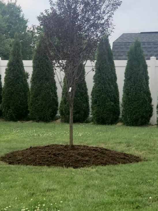 Our Tree Services division provides homeowners with quality tree care, including pruning, planting, and clean-up. We have the experience and equipment necessary to handle any size tree job. for Jonathan A. Henne Property Services. in Hamburg, PA