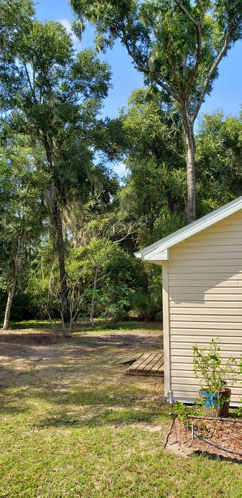 Tree Removal for Daniel Hickey’s Tree Service in DeLand, FL