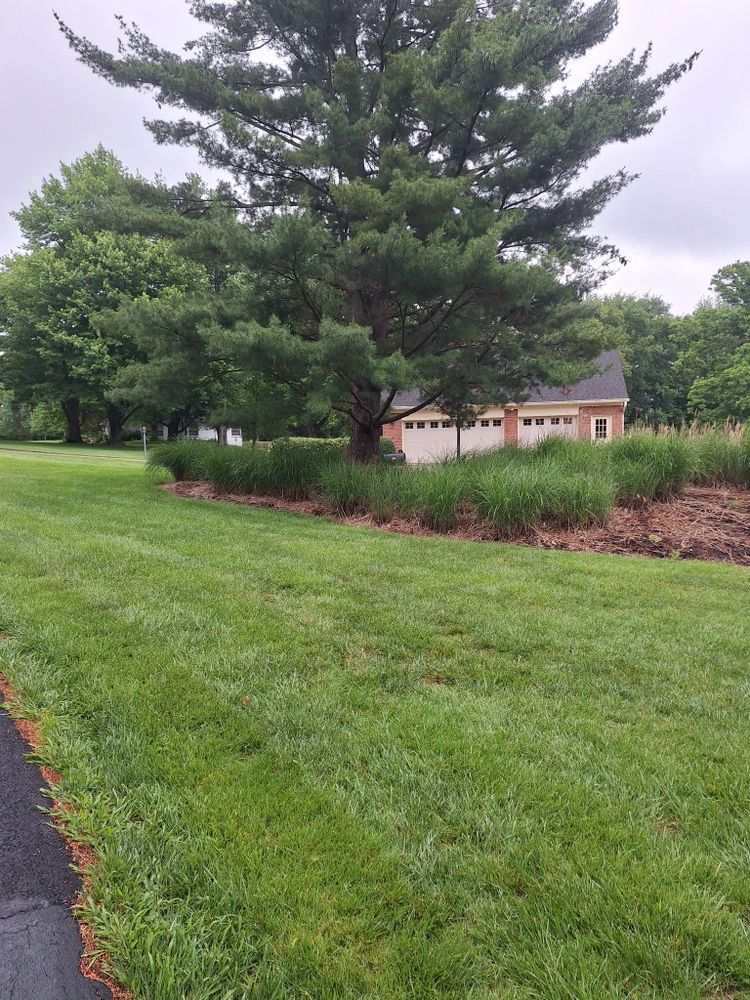 All Photos for Cincinnati’s Finest Landscape Services LLC in Cincinnati, OH