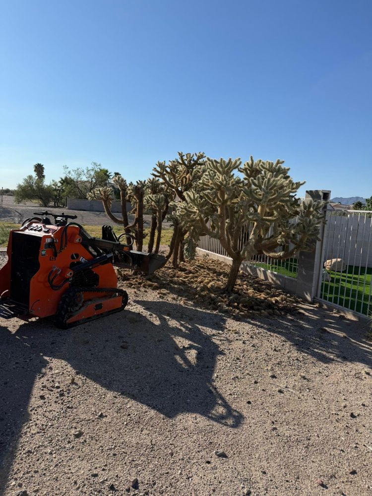 All Photos for LM Landscapes & Irrigation LLC Verified Account in Marana, AZ