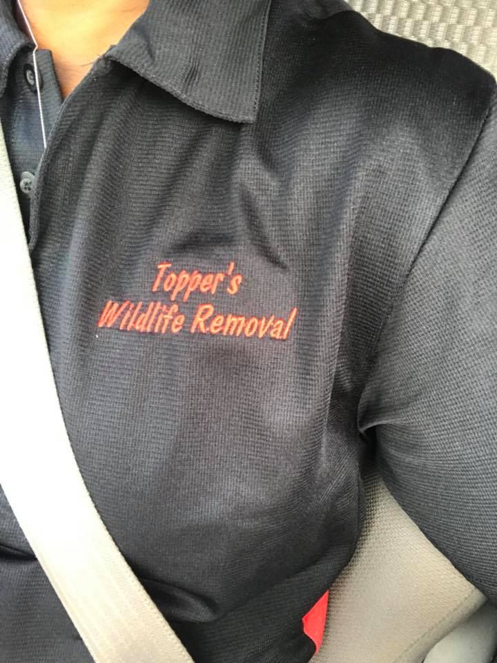 Wildlife Control for Toppers Wildlife Removal in Garland, TX