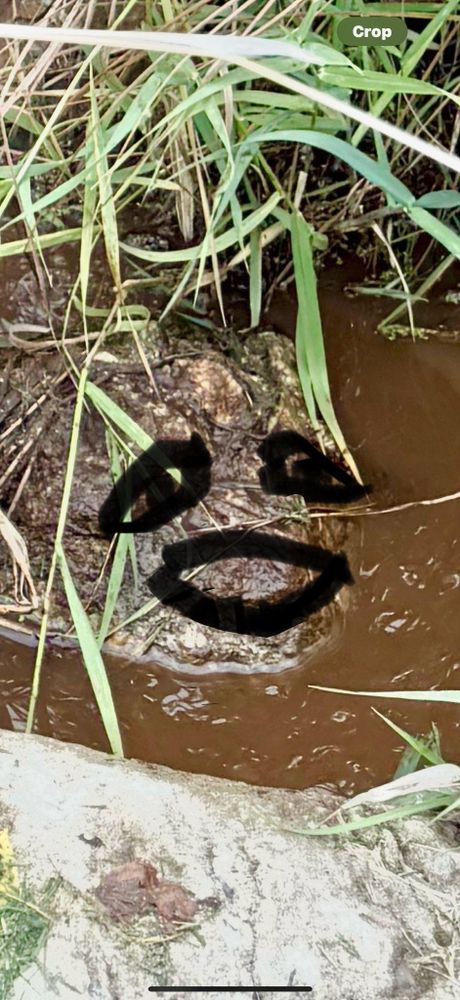 All Photos for V.I.P Plumbing in Sandpoint, ID