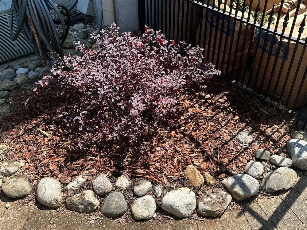 Transform your outdoor space with our expert plant installation service. We carefully select and install plants to enhance beauty, ensure sustainability, and create a thriving garden tailored to your needs. for Hedgecraft Landscaping LLC in Senoia, GA