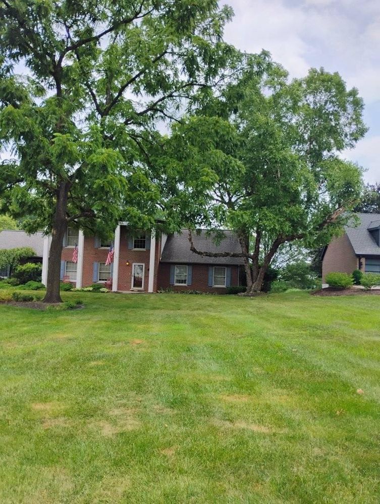 All Photos for Kingdom Tree Trimming and Removal LLC in Covington, KY