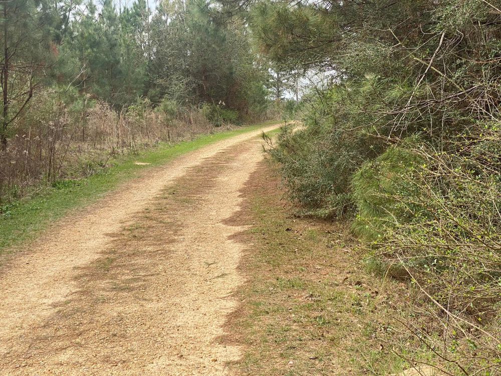 Land Clearing for South Mississippi Land Management LLC in Columbia, Mississippi