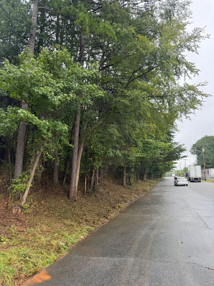 All Photos for Southern Turf & Landscape in Concord, NC