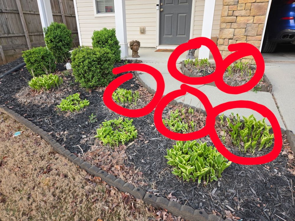 All Photos for Williams Brothers Landscaping & Construction in Atlanta, GA