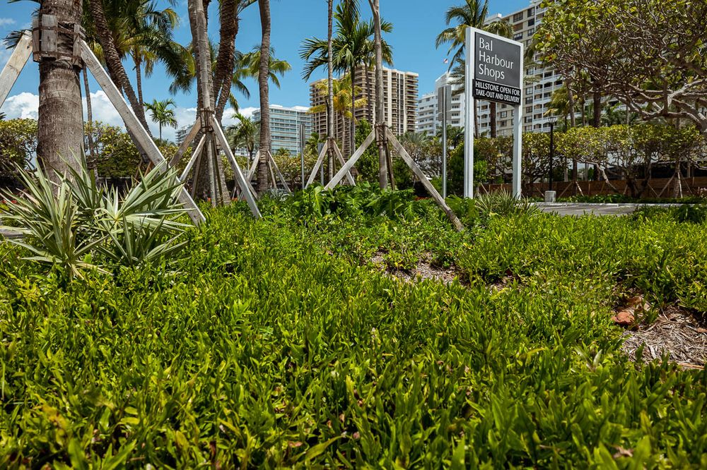 Landscape for Arazoza Brothers Corporation in Miami, FL