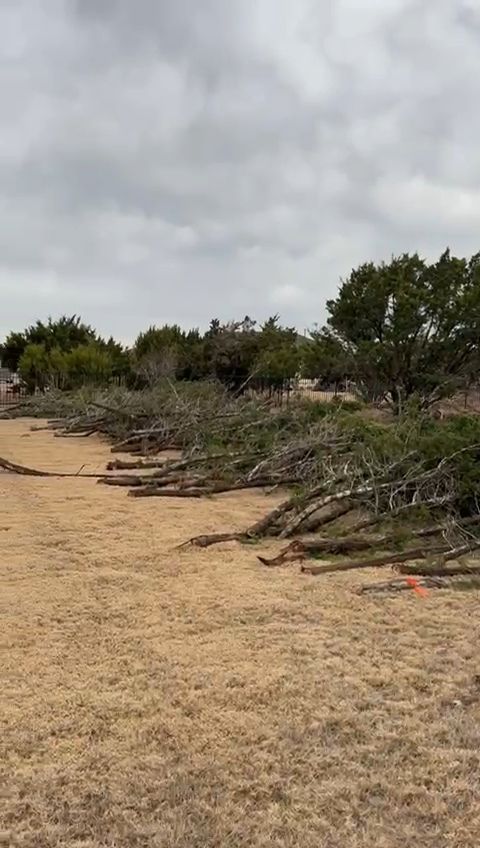 Our Tree Trimming & Stump Grinding service ensures your landscape remains safe and beautiful, enhancing tree health by carefully shaping branches and efficiently removing unwanted stumps, promoting a tidy outdoor environment. for Green Pastures Lawn Care in Bastrop, TX