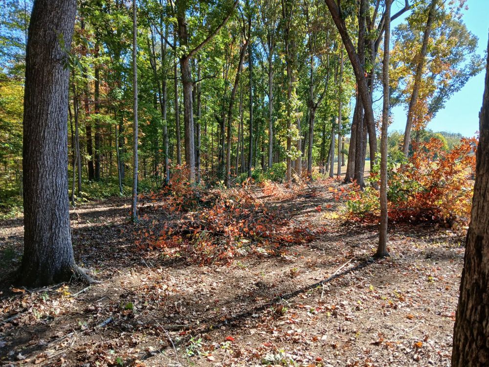 All Photos for Whiskey Ridge Mulching & Land Services in South Boston, VA