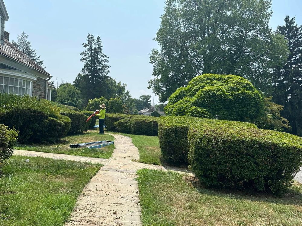 Enhance your garden's health and appearance with our professional mulch installation service, providing expert application for moisture retention, weed control, and improved soil quality to keep your landscape vibrant year-round. for Luna Landscaping and Construction in Parkville, MD