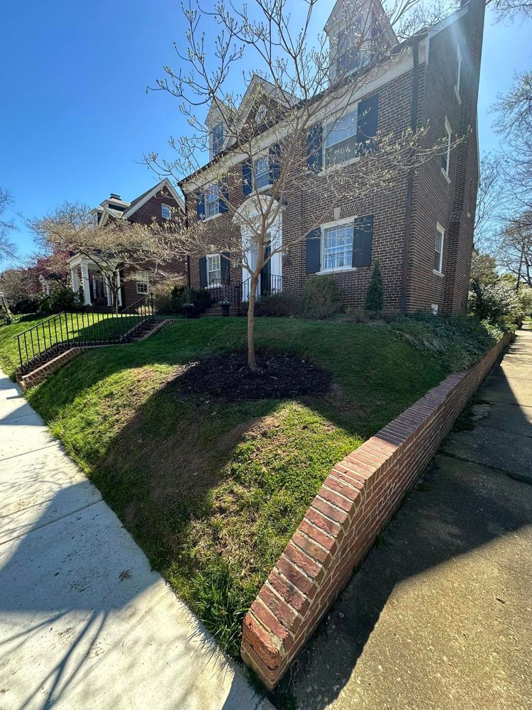 Tree Removal for Rawls Tree Care in Richmond, VA