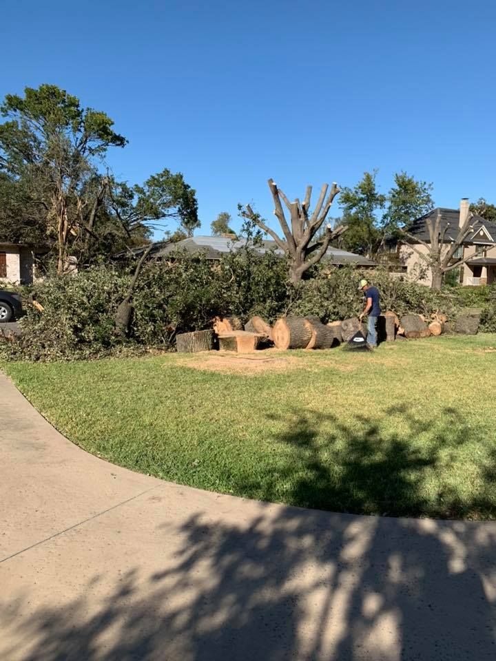Our Tree Removal service offers safe, efficient removal of unwanted or hazardous trees, ensuring minimal disruption to your property and enhancing safety while maintaining the beauty of your outdoor space. for A Realtree Service in Garland, TX